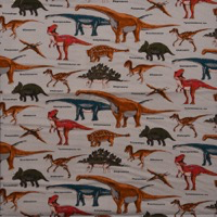 0591/ダイナソーダークベージュ