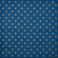 0613/グレードットとダークブルー