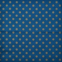 0613/グレードットとダークブルー