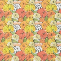 0616/かぼちゃマルシェ