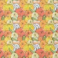 0616/かぼちゃマルシェ