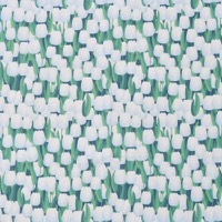 0625/白いチューリップ