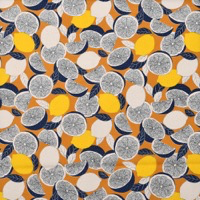 0637/レモンオレンジ