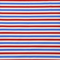 0640/トリコロールボーダー