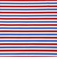 0640/トリコロールボーダー