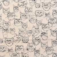 0646/ワイヤーキャット