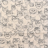 0646/ワイヤーキャット