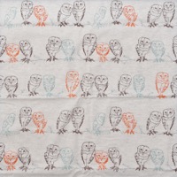 0647/ワイヤーフクロウ