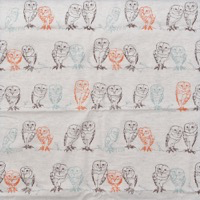 0647/ワイヤーフクロウ