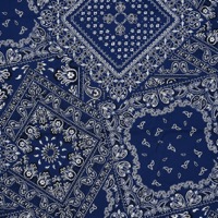 0650/バンダナブルー