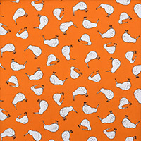 9047/キウイとオレンジ