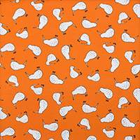 9047/キウイとオレンジ