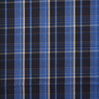 9049/マドラスチェックブルー