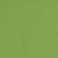 9065/帆布11号/グリーン