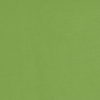 9065/帆布11号/グリーン