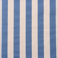 9076/帆布11号/ラージストライプブルー